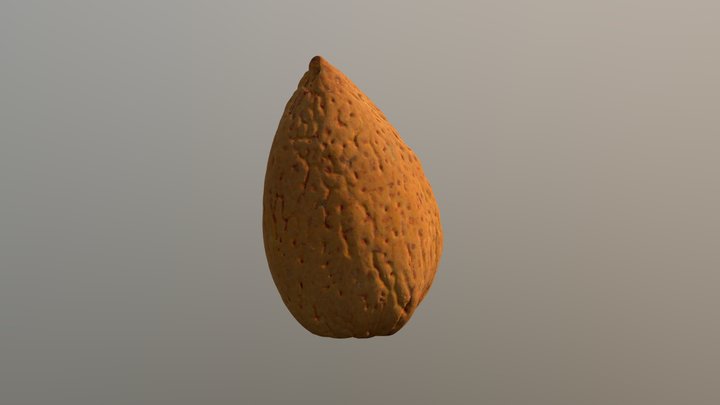 almond nut - high resolution 3D Model
