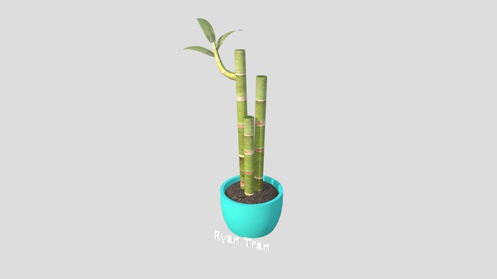 Wk10 Plant Tran Ryan 3D Model