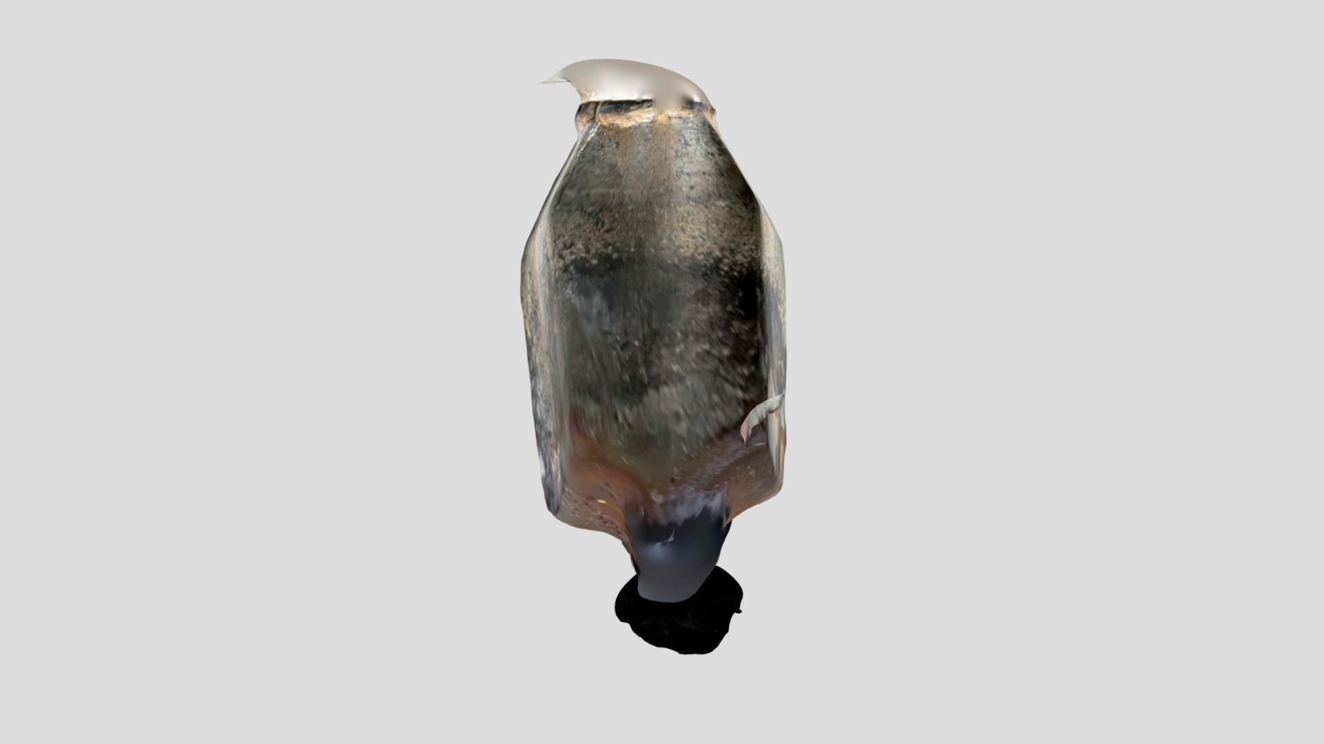 Petteri — Sketchfab embed 3D viewer