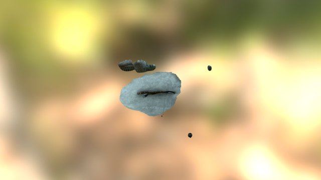 MODEL 3D Model