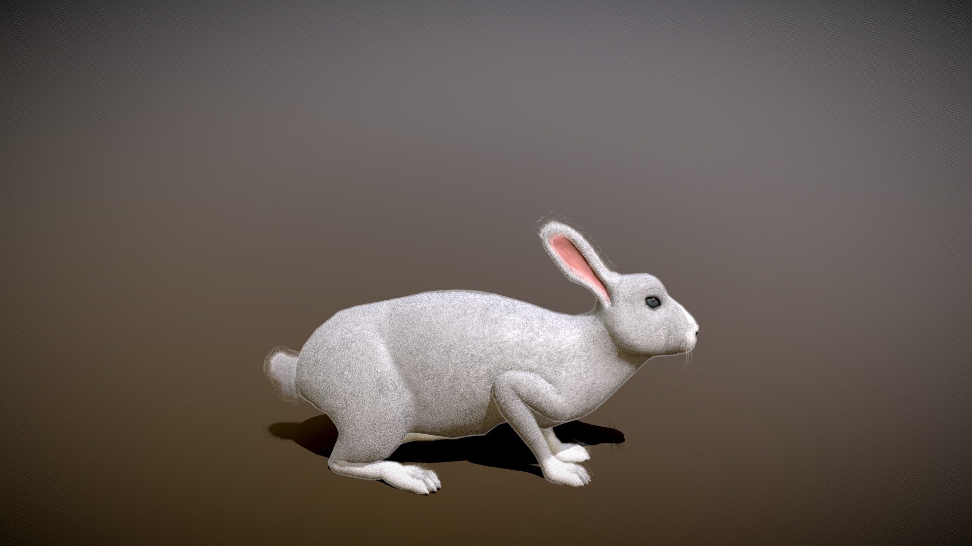 rabbit_7_new - Buy Royalty Free 3D model by pinotoon [f7cb11c ...