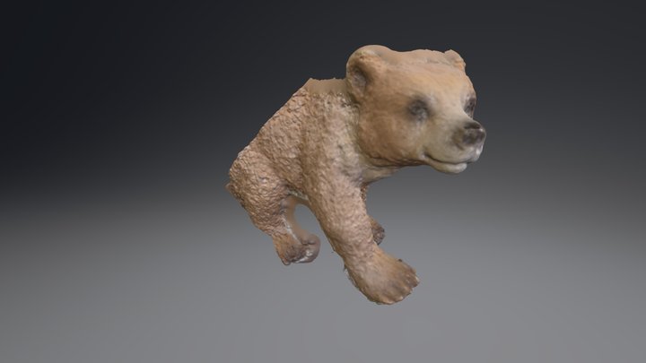 Bear Front 3D Model