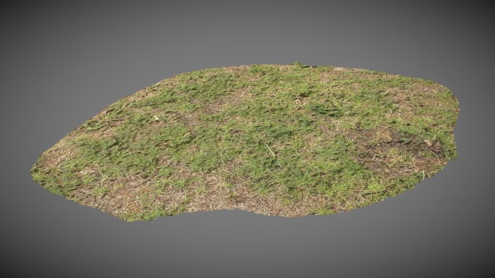 Grassy Ground Patch 3D Model