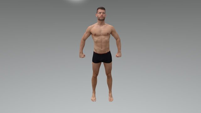 FFM- Sattler 15 3D Model