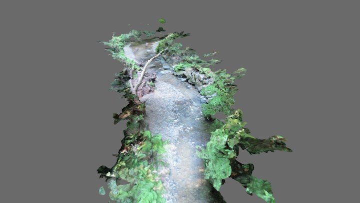 Redwood Creek 3D Model