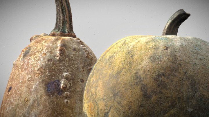 Pumpkins Dry Old – Kostenloses 3D-Modell STL