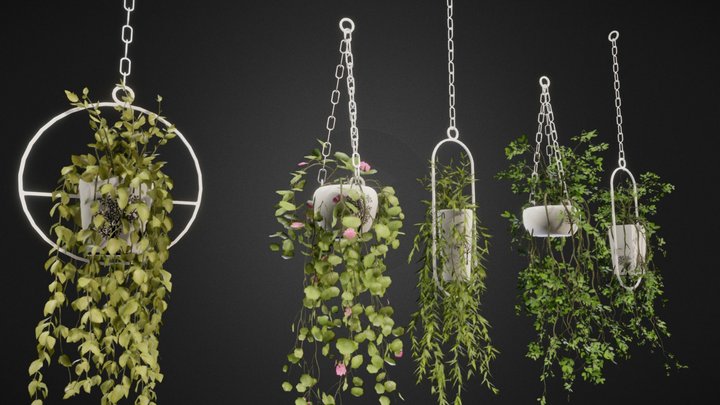 Hanging Pots with Plants/Vines 3D Model
