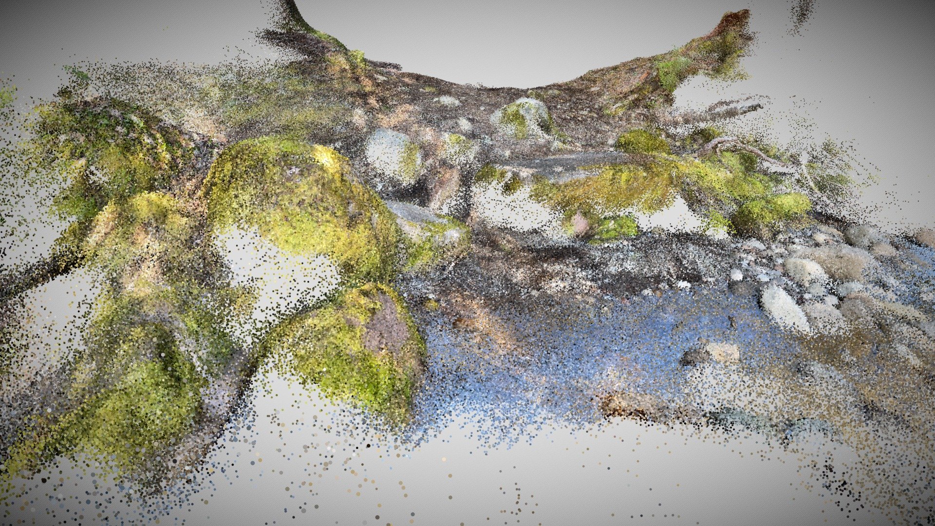 Marion Forks3-Lidar scan