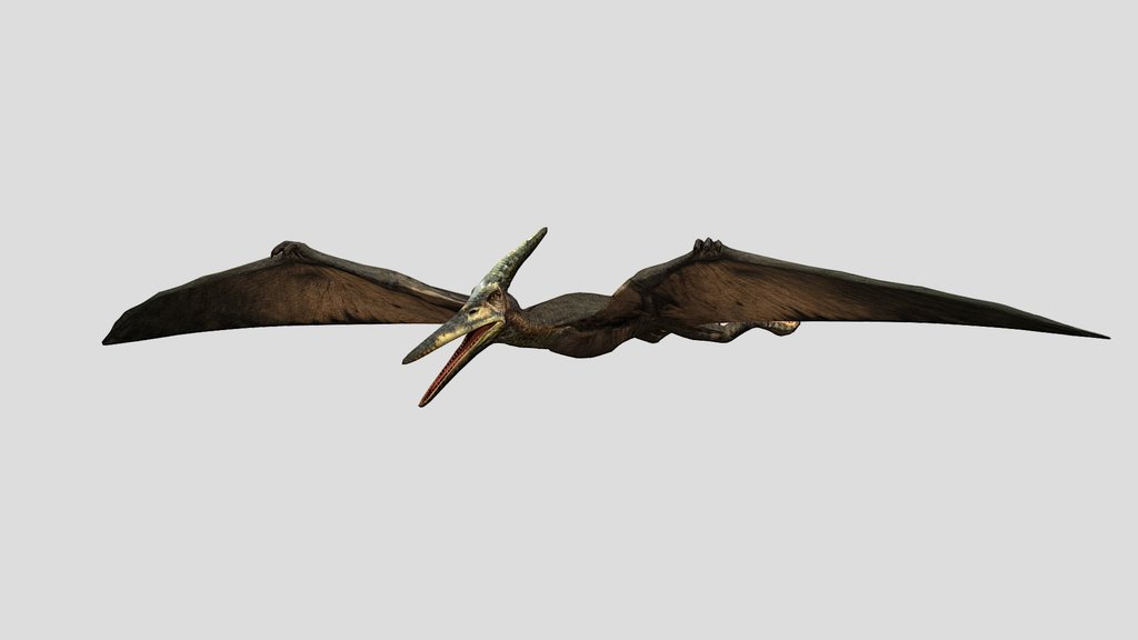 DracoWarrior's Female Pteranodon