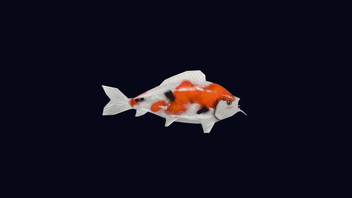 Koi Fish 3D Model