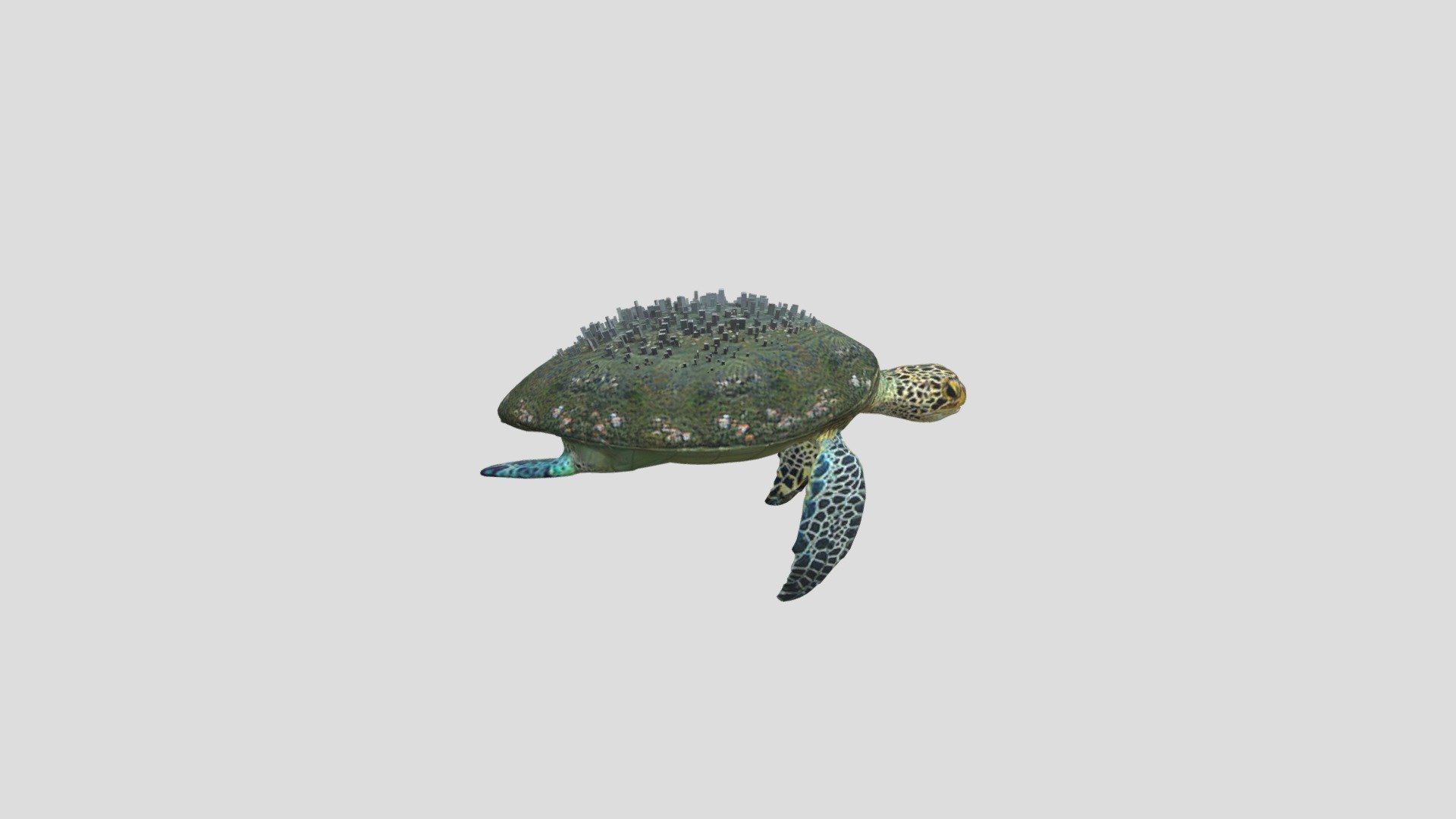 turtle-a_mb_02