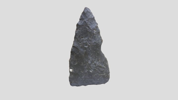 Preforma de punta lítica 3D Model