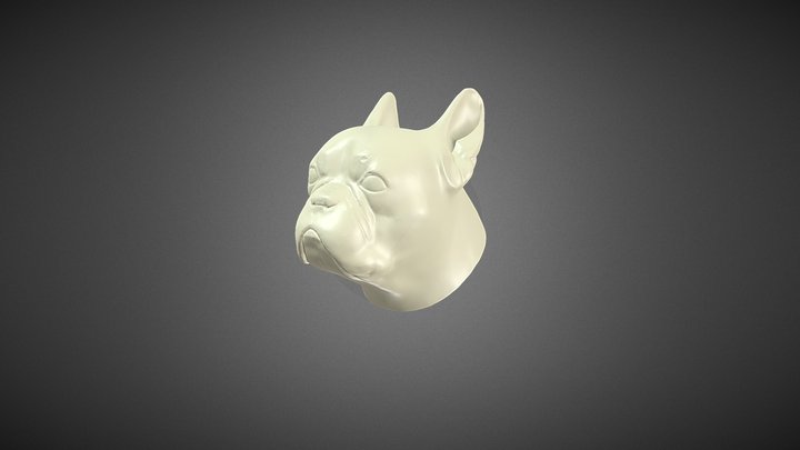 狗頭的設定練習（賴慶鴻） 3D Model