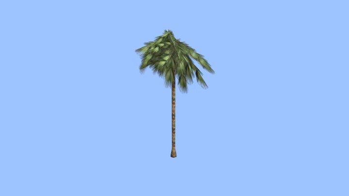 Palm Tree 3D Model