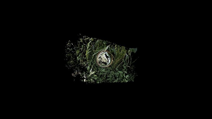 field_15_grass - smol 3D Model