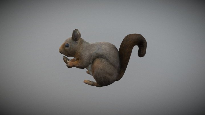 Squirrel model made with Smoothie-3D.com 3D Model