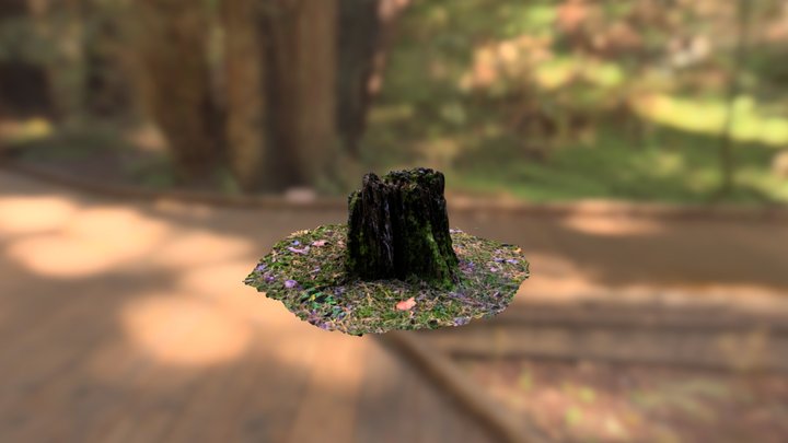 Happy Stump 3D Model