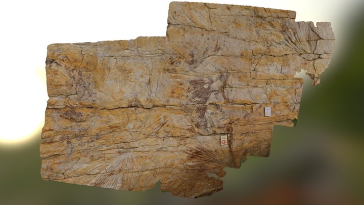 Palm Fonds, Golden CO 3D Model