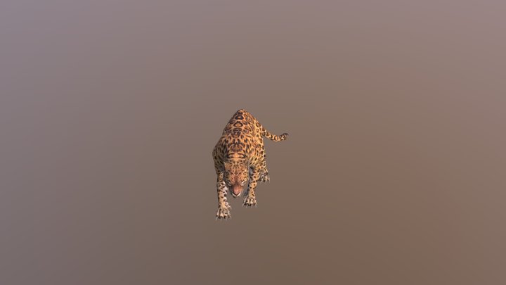 Leopard001-attack01 3D Model
