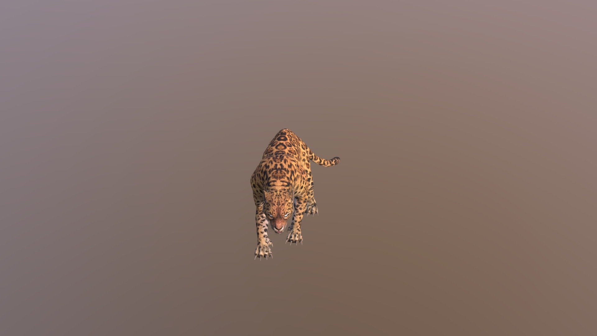 Leopard001-attack01