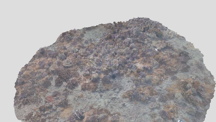 O'ahu Coral Reef 3D Model