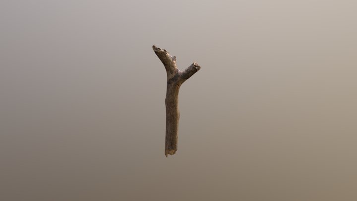Wood Debris 3D Model