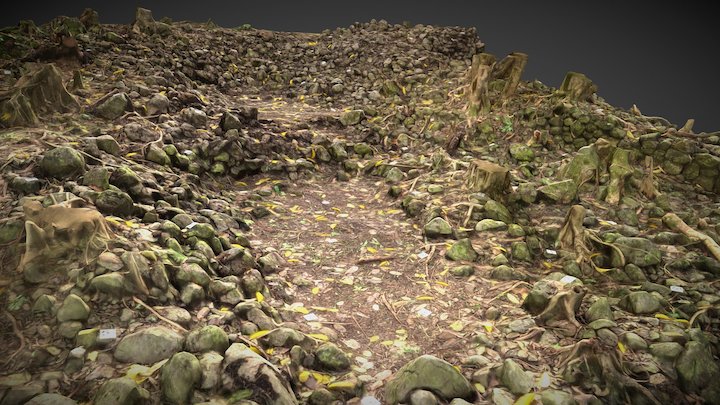 Punalu‘u Heiau 3 - O‘ahu - SW Corner 3D Model