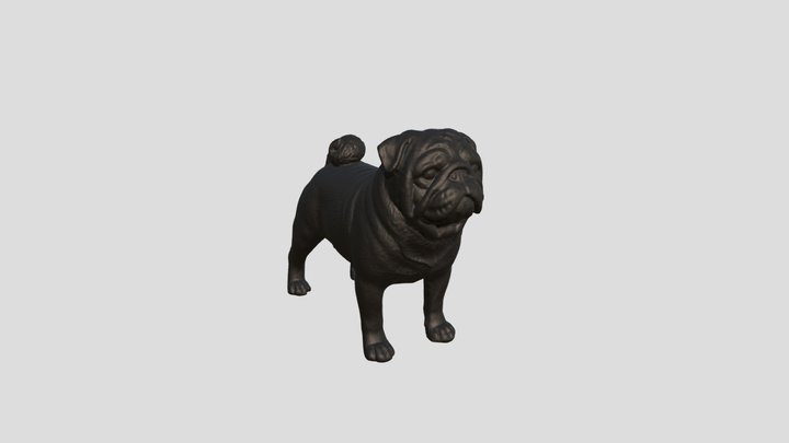 Pug Dog 3D Model