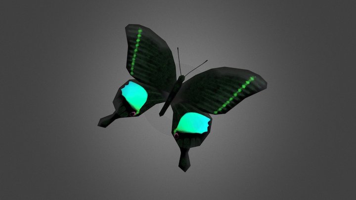 Paris Peacock Butterfly (Papilio paris) 3D Model