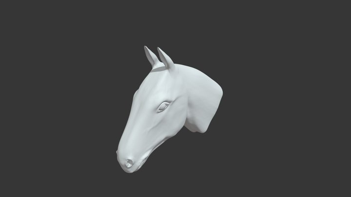 3D Horse Head Sculpt 3D Model