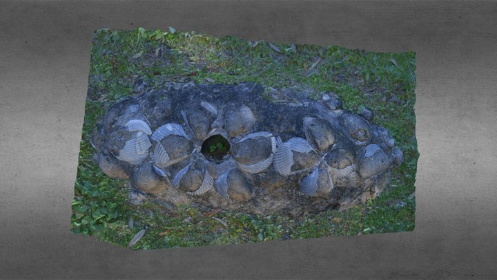 Shell Mound 3D Model