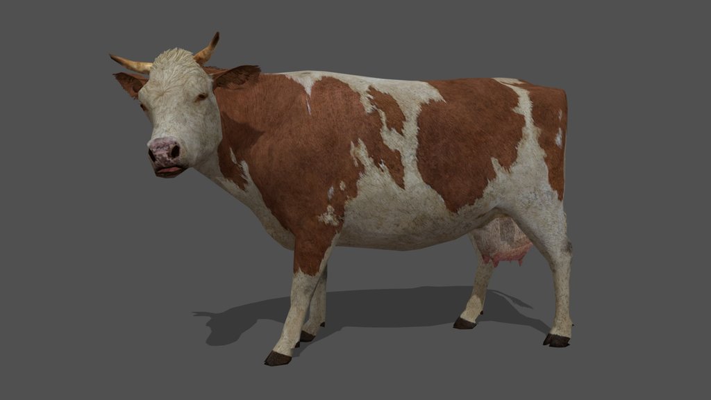 Animated Cow – 3D Animal Model