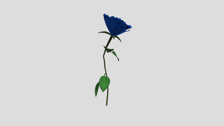 Single flower / Rose Blue 3D Model