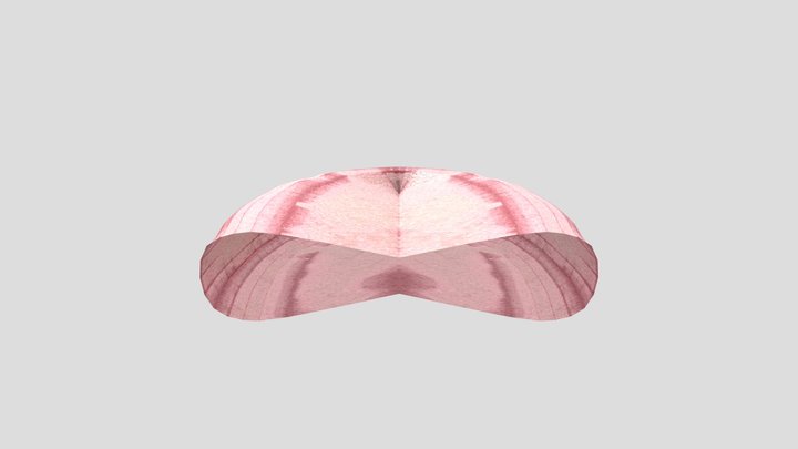 Tongue 3D Model