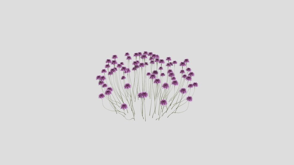 Sj Pure Elegance Shrub