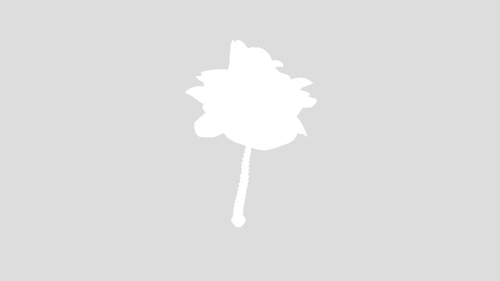 Tall Palm Tree 3D Model