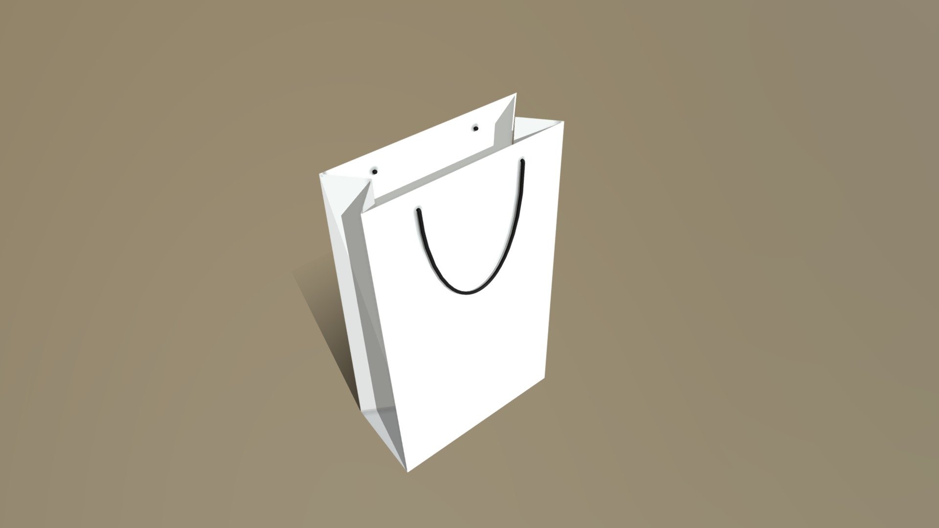 304 Bag