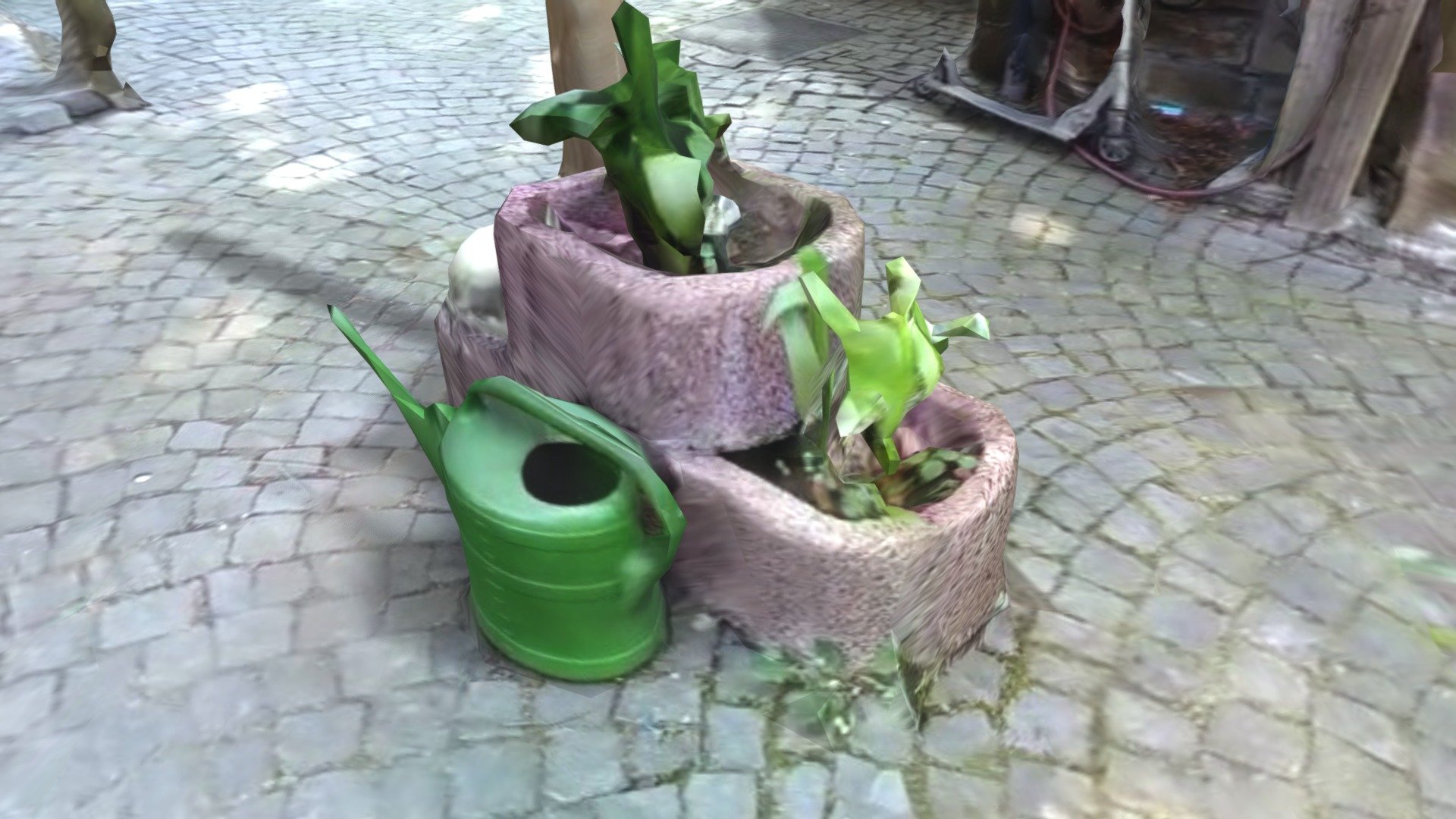 Test plants