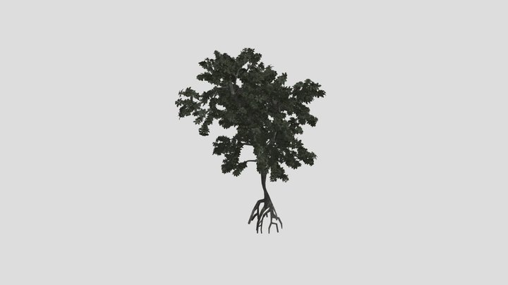 Mangrove Tree01 3D Model