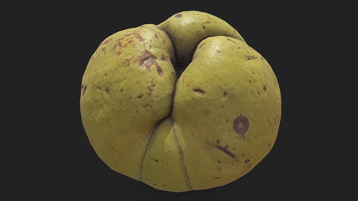 Low Poly Saco de adao Game Ready PBR