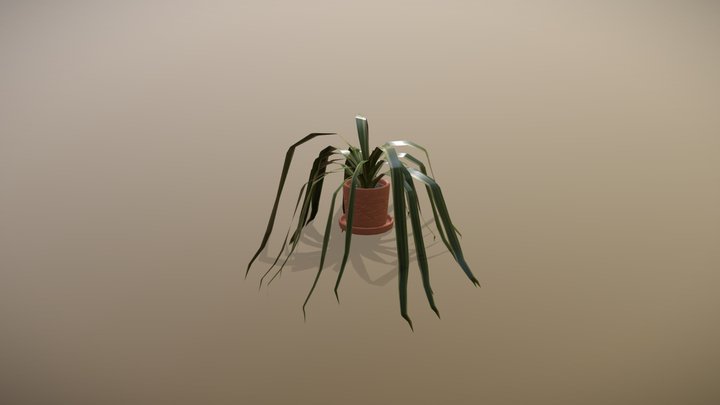 Office Plant 3D Model