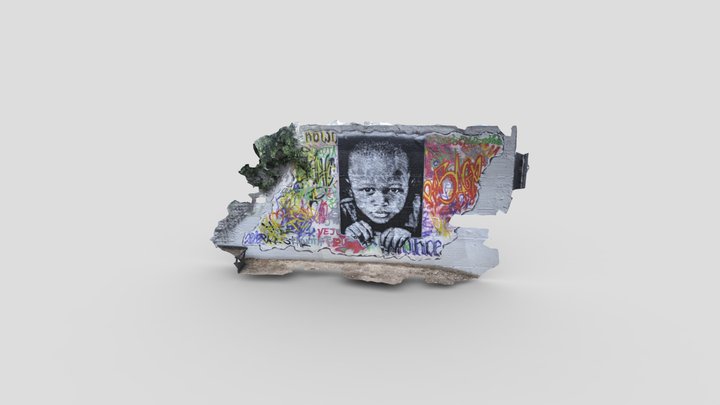 Graffiti in villa 3D Model