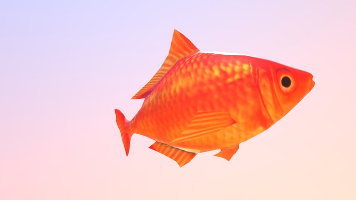 fish 3D Model