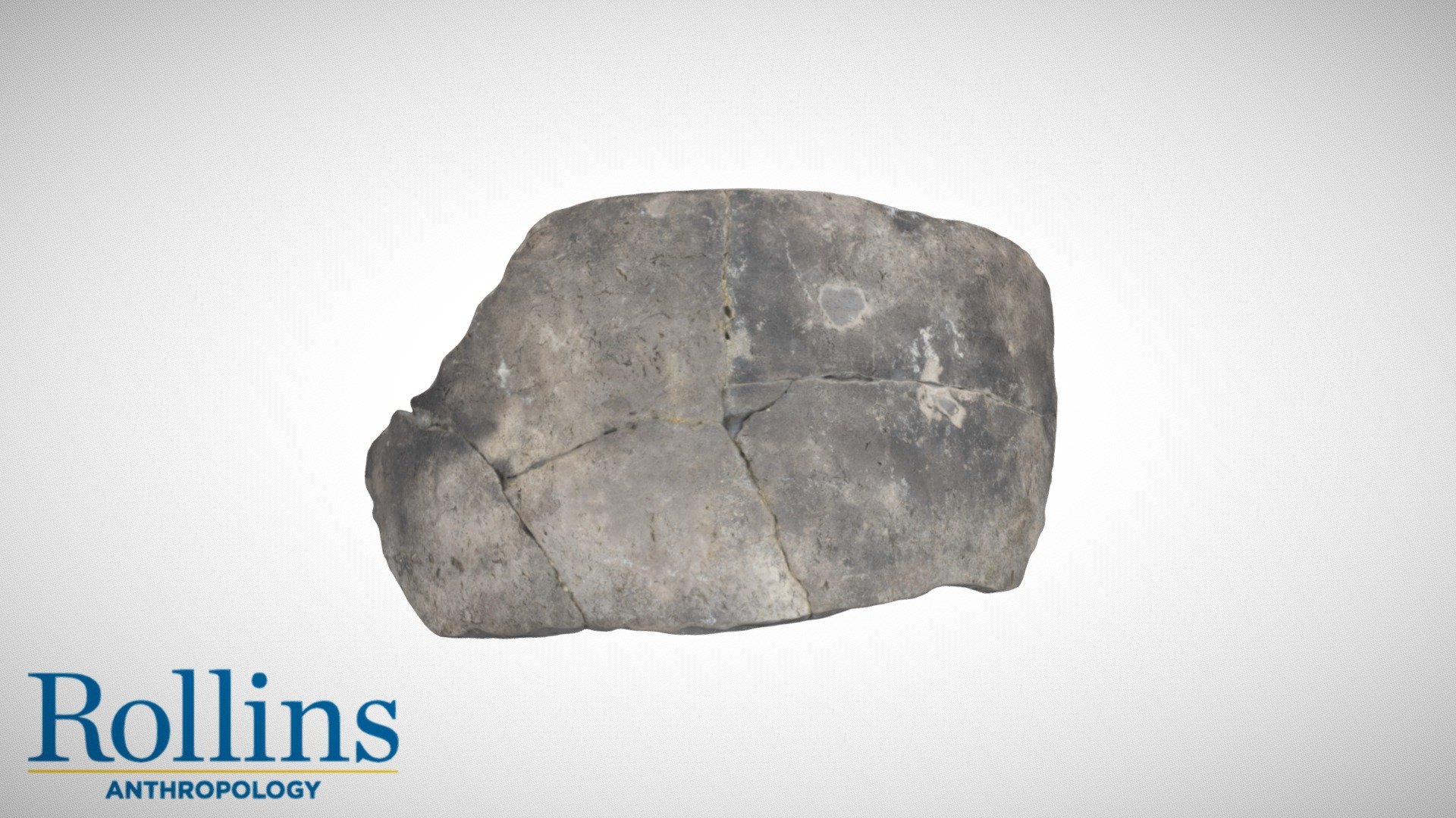St. Johns Plain Rim - 3D model by Rollins College Archaeology (@rollins ...