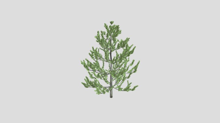tree 3D Model