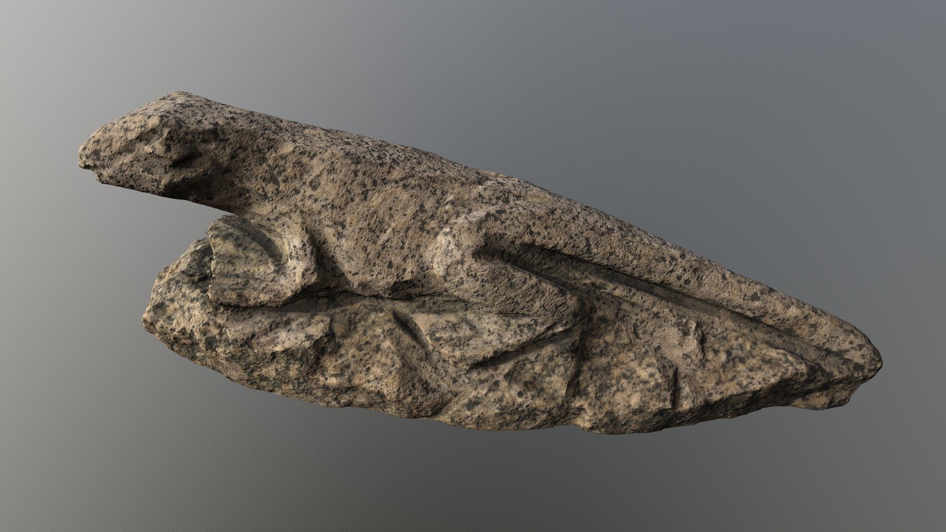 Lizard