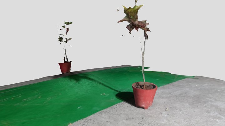 POT 3D Model