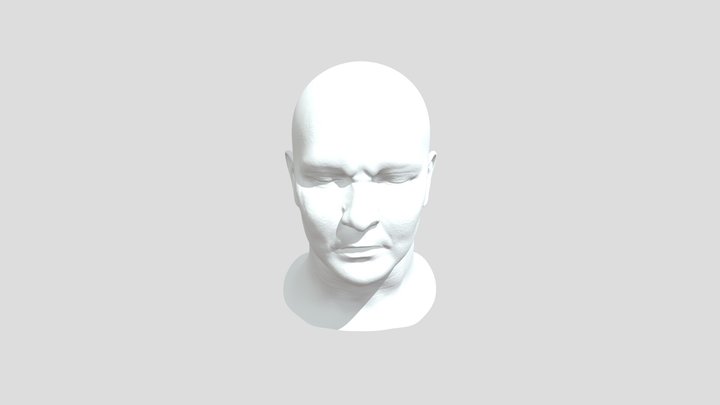Decimated_1m 3D Model