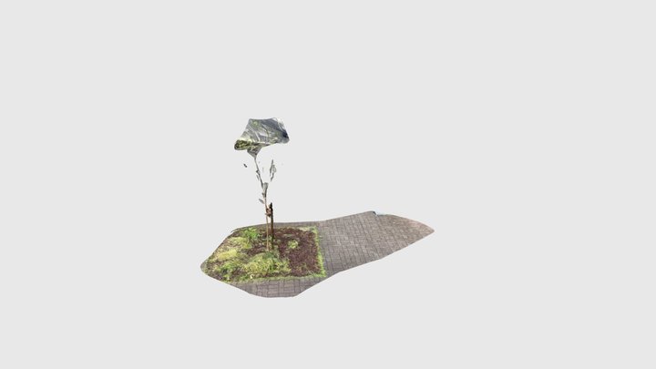 ritsumei_24x_ryosuke 3D Model