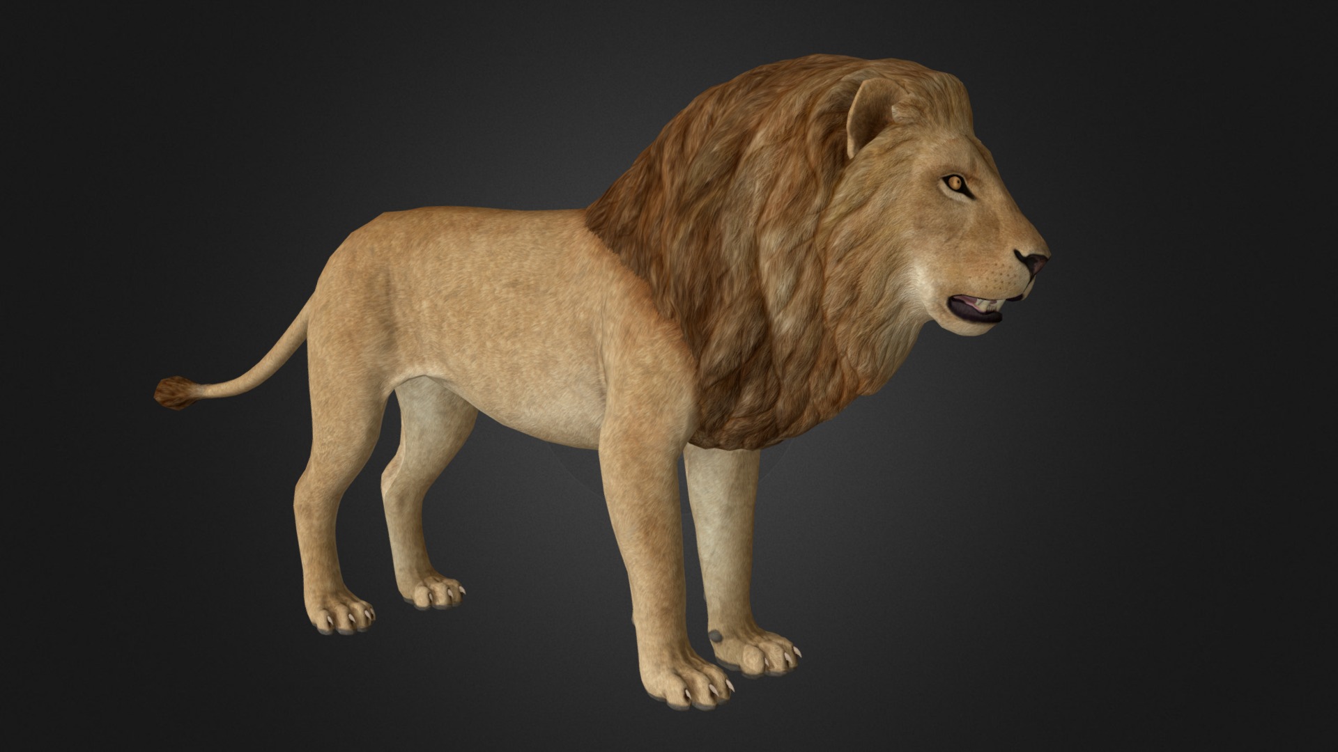 3D model 3D Lion - This is a 3D model of the 3D Lion. The 3D model is about a lion standing on a black background.